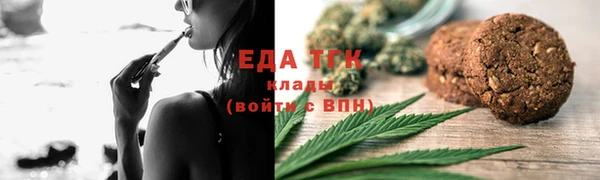тгк Абаза