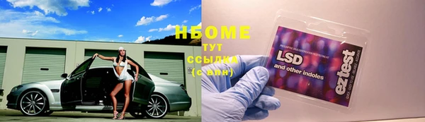 тгк Абаза