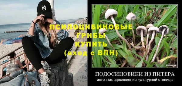 тгк Абаза